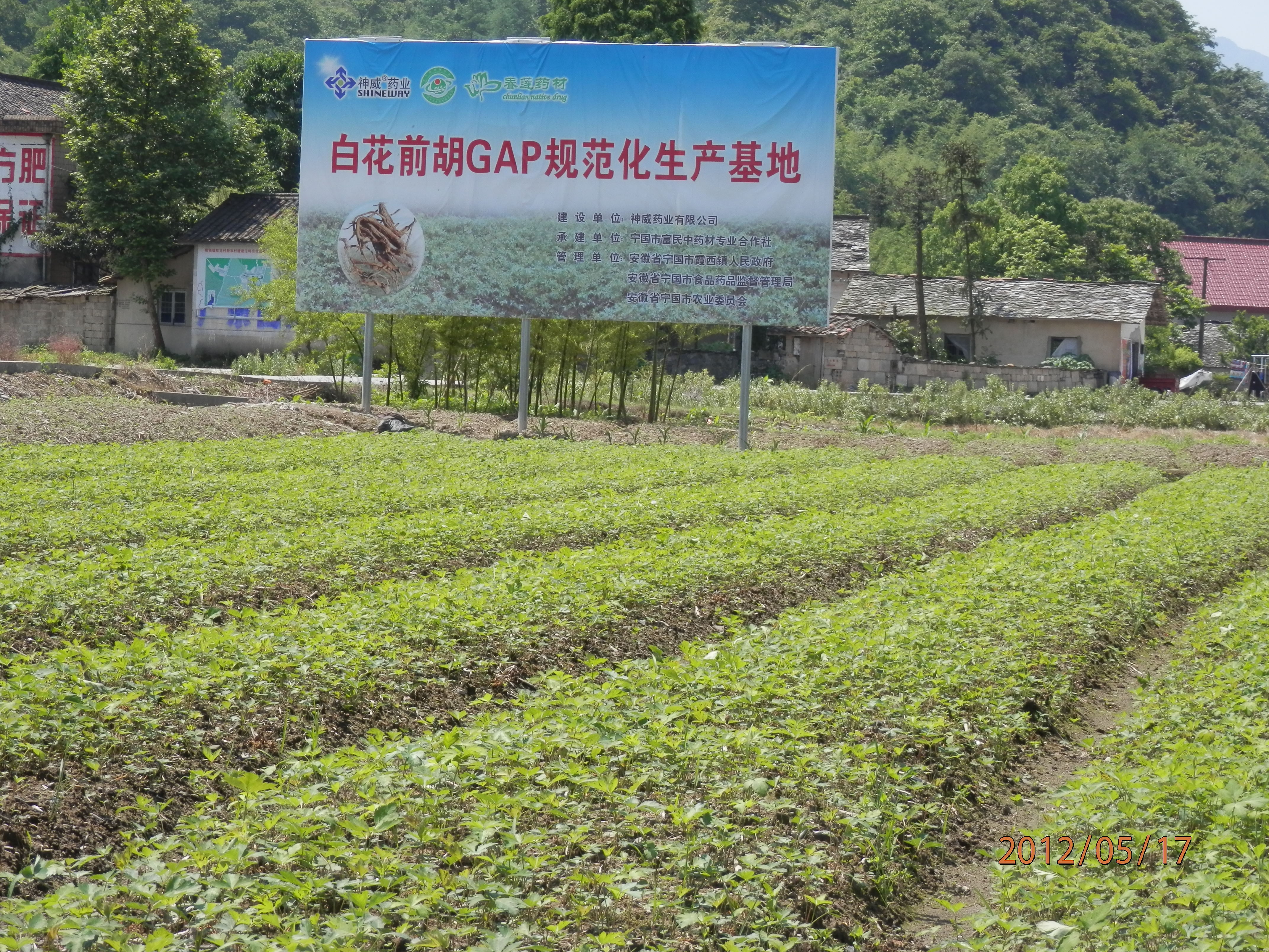 香港宝典全年资料大全