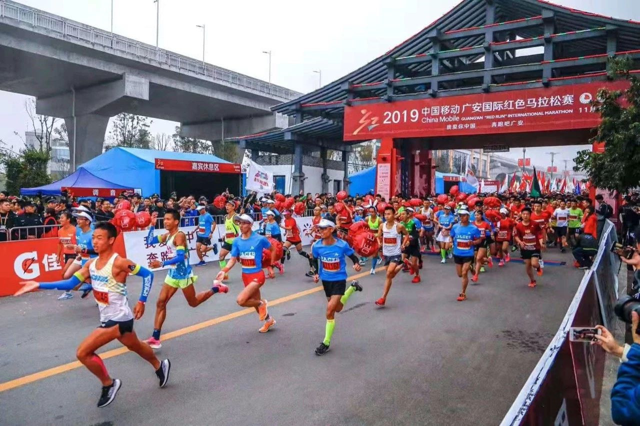 香港宝典全年资料大全
