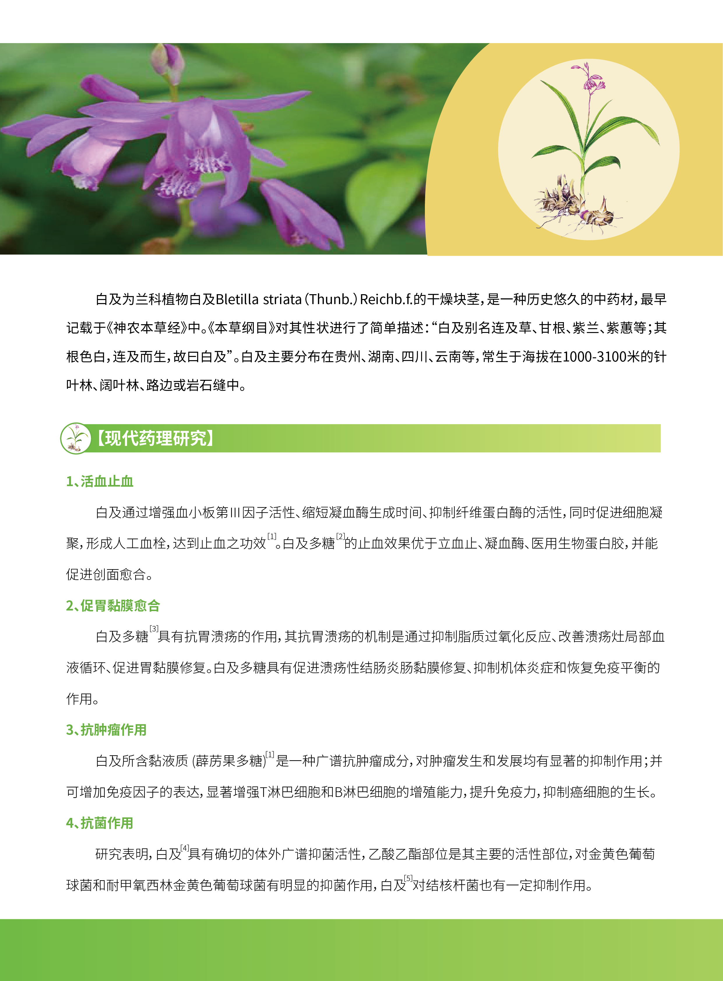 香港宝典全年资料大全