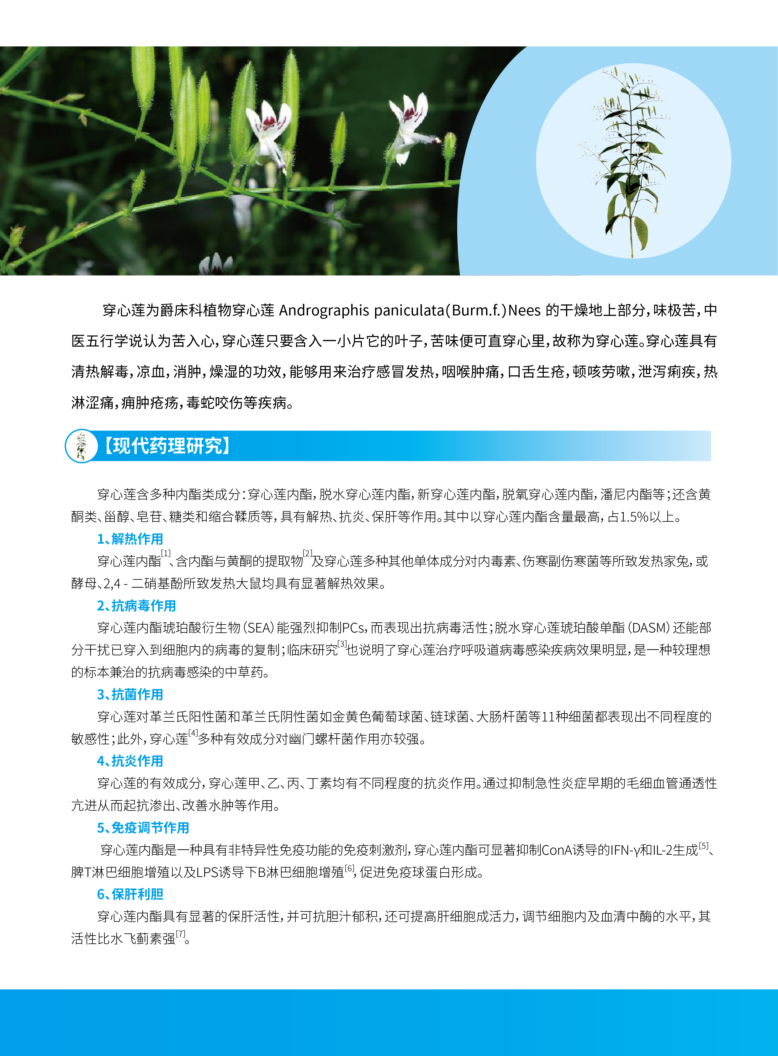 香港宝典全年资料大全