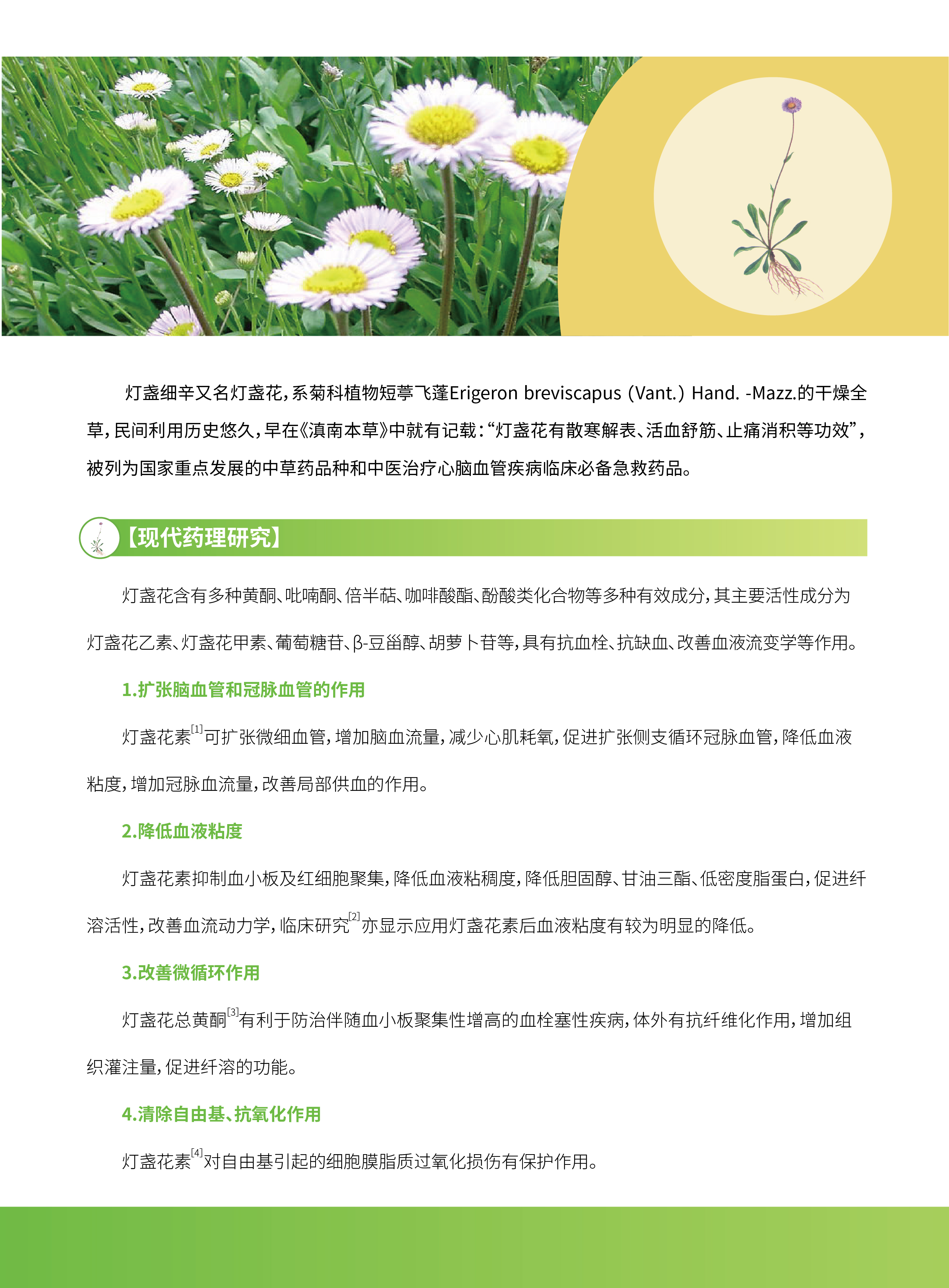 香港宝典全年资料大全
