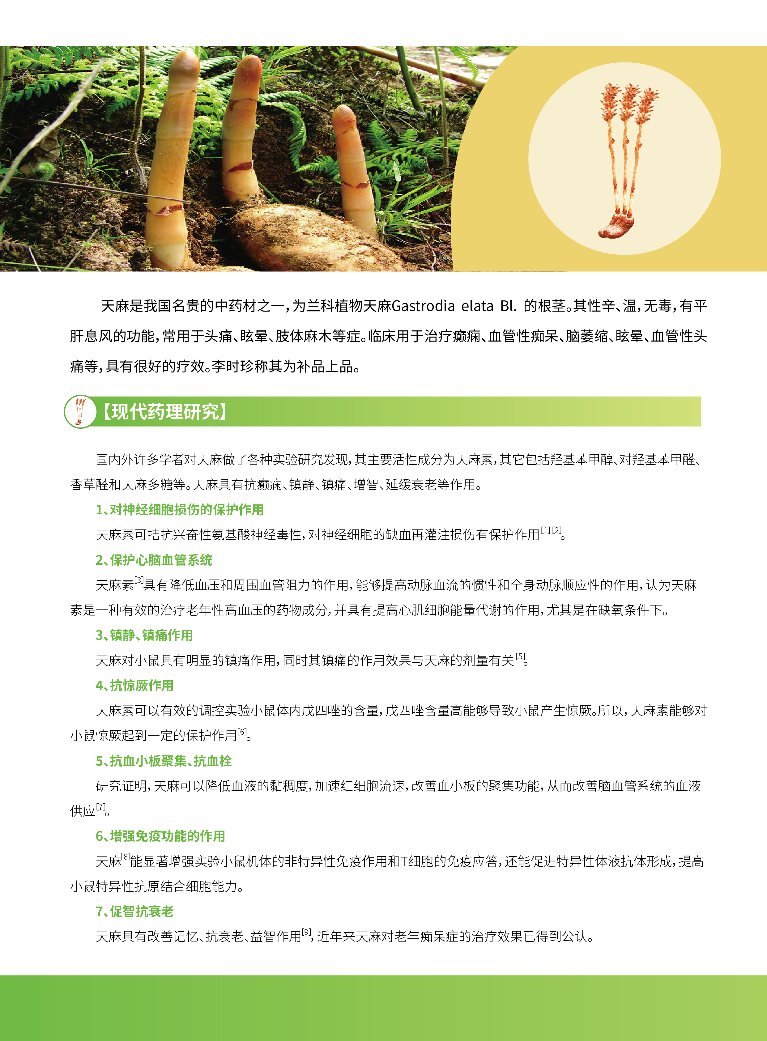 香港宝典全年资料大全