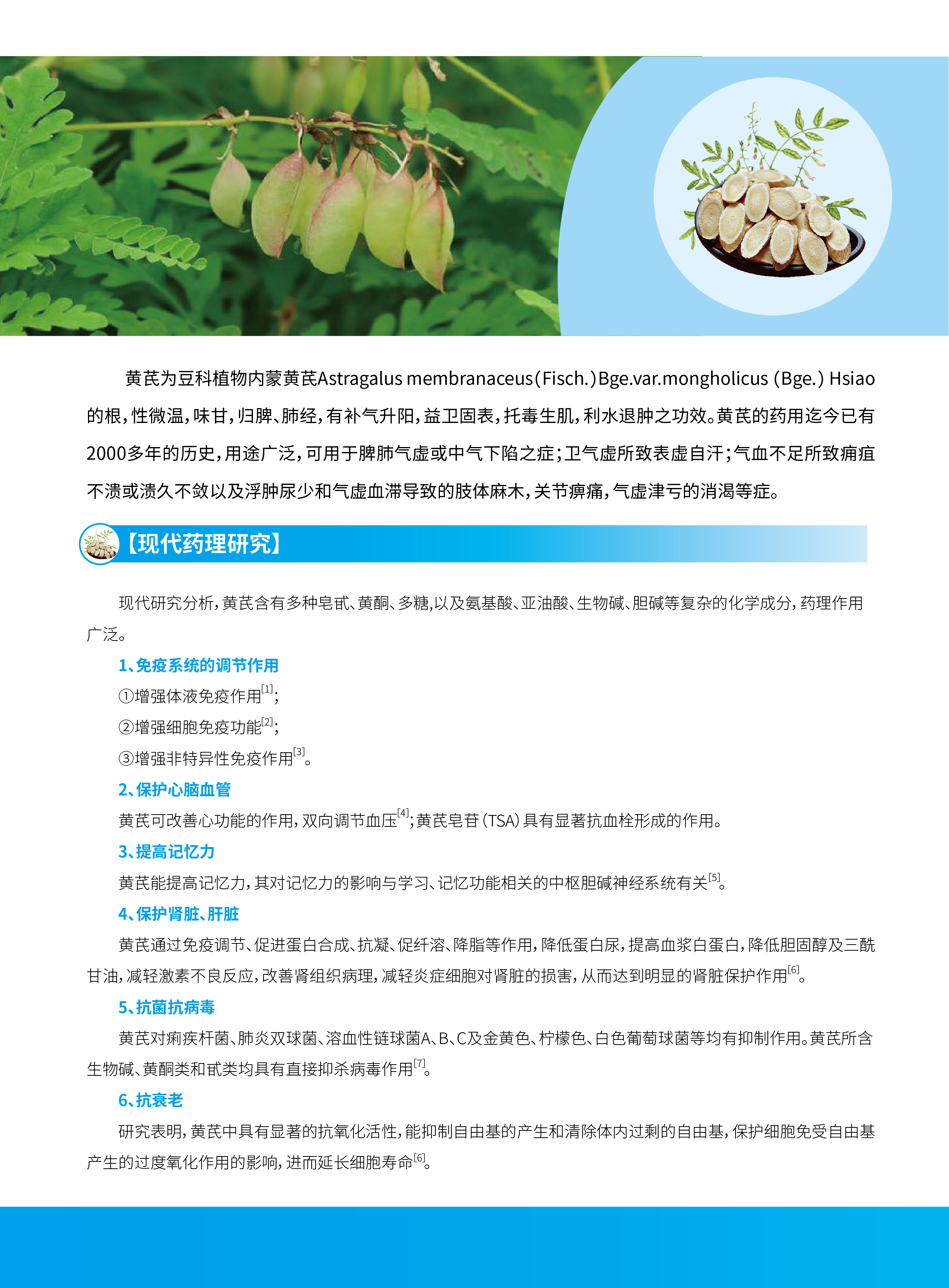 香港宝典全年资料大全