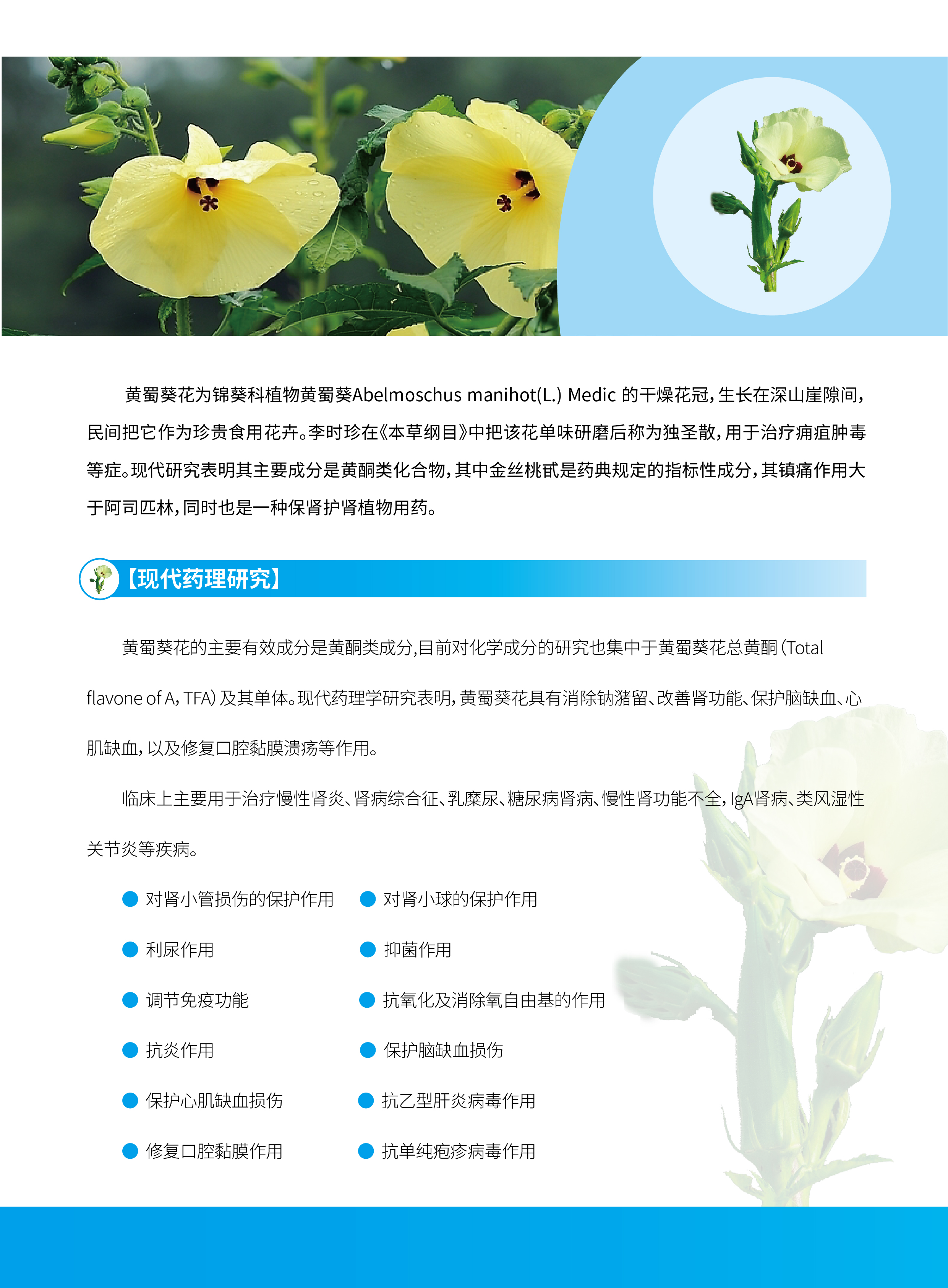 香港宝典全年资料大全