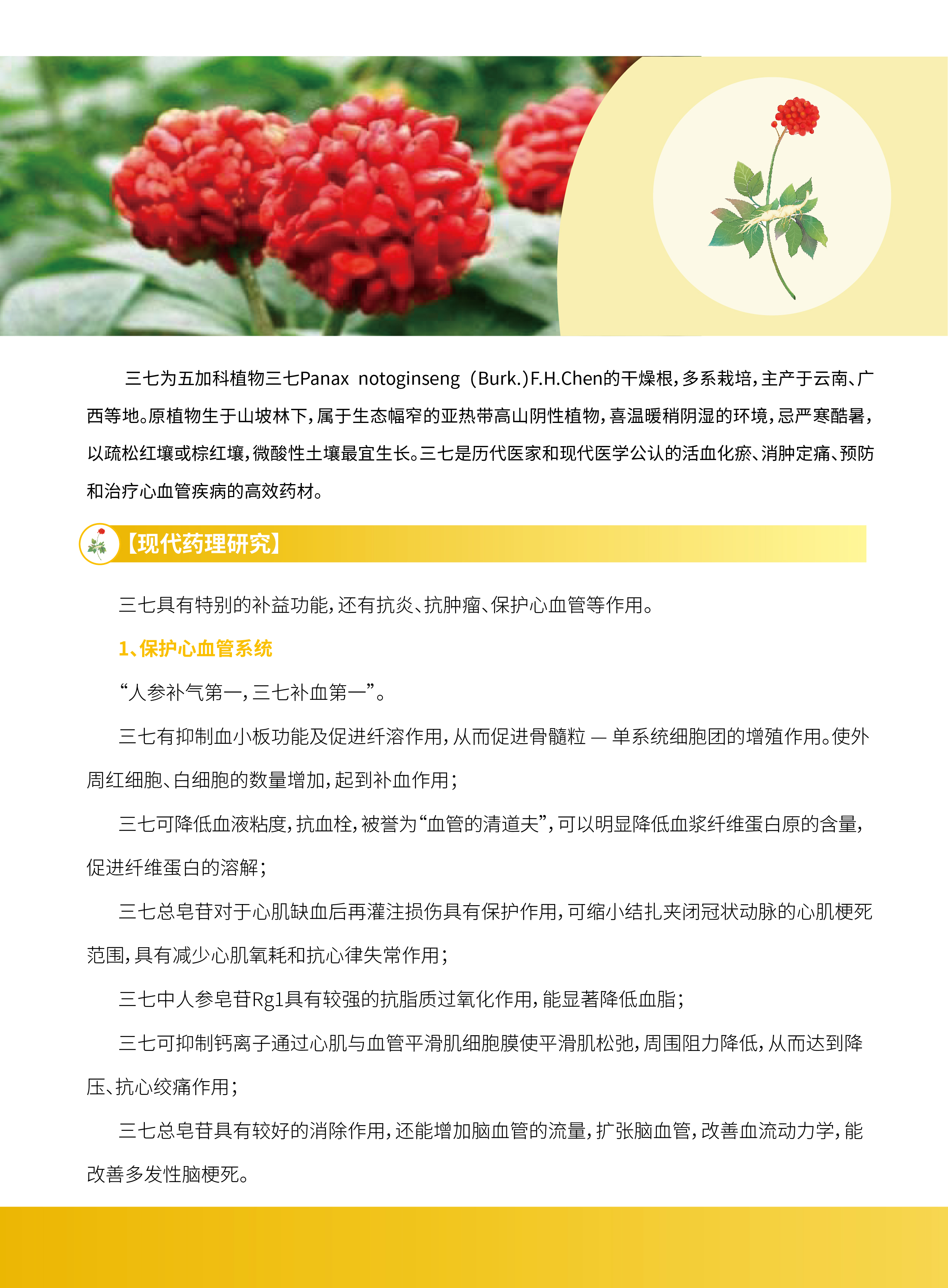 香港宝典全年资料大全