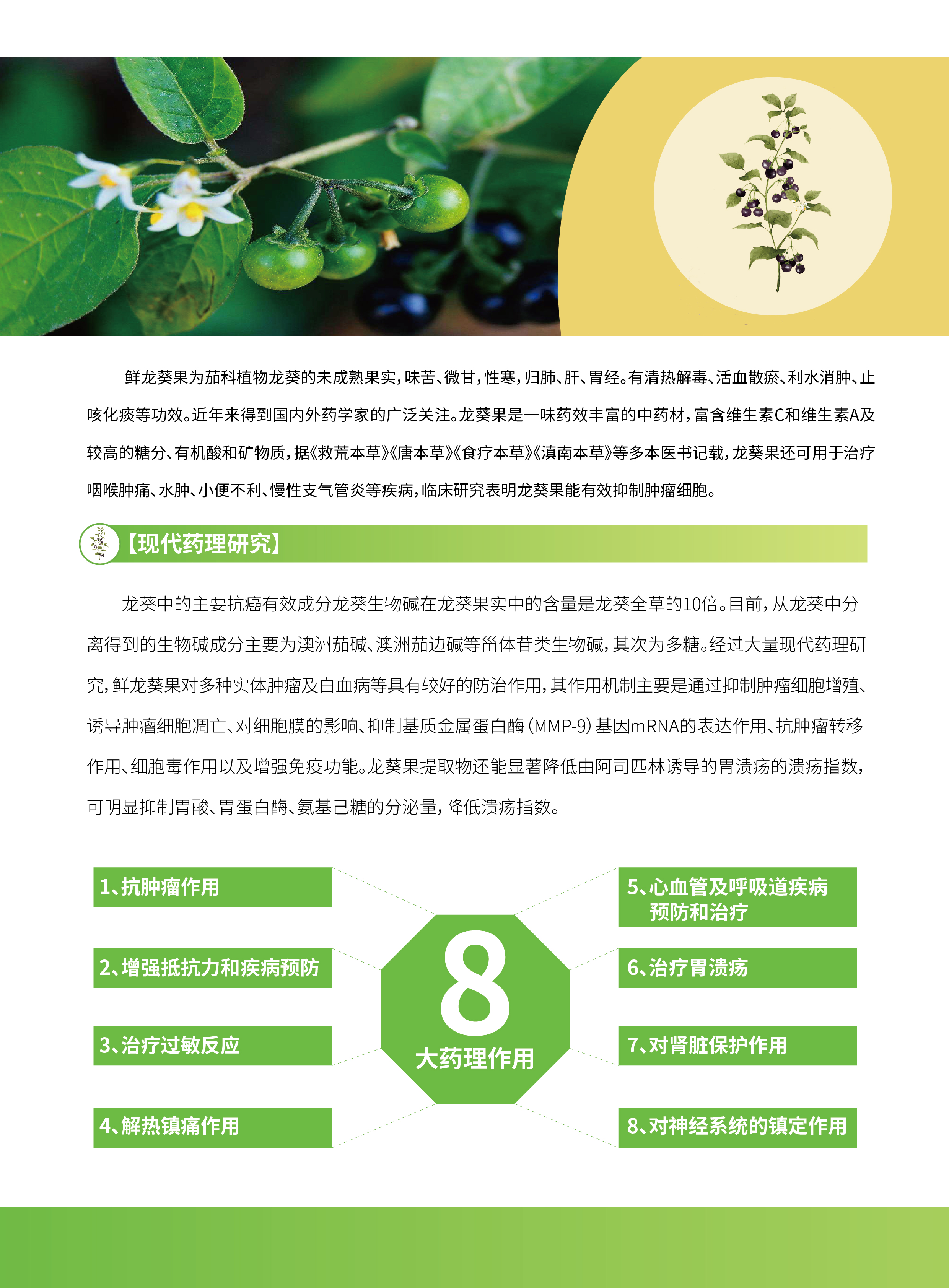 香港宝典全年资料大全