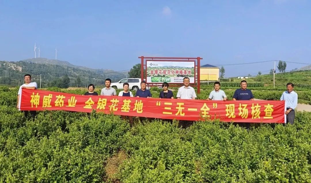 香港宝典全年资料大全