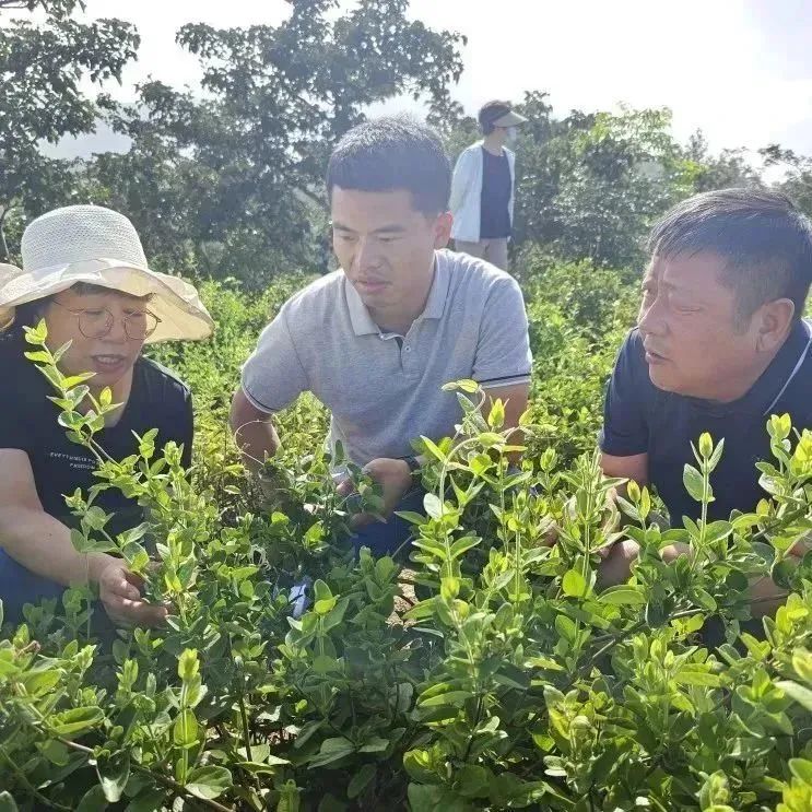 香港宝典全年资料大全